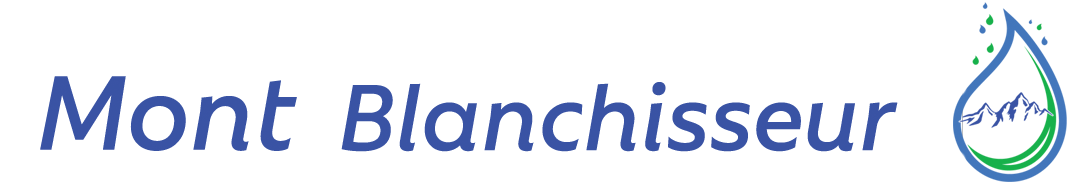 Mont Blanchisseur Logo